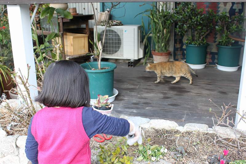 小さいにんげん２号もやってます | マルカ日記 | マルカ木工