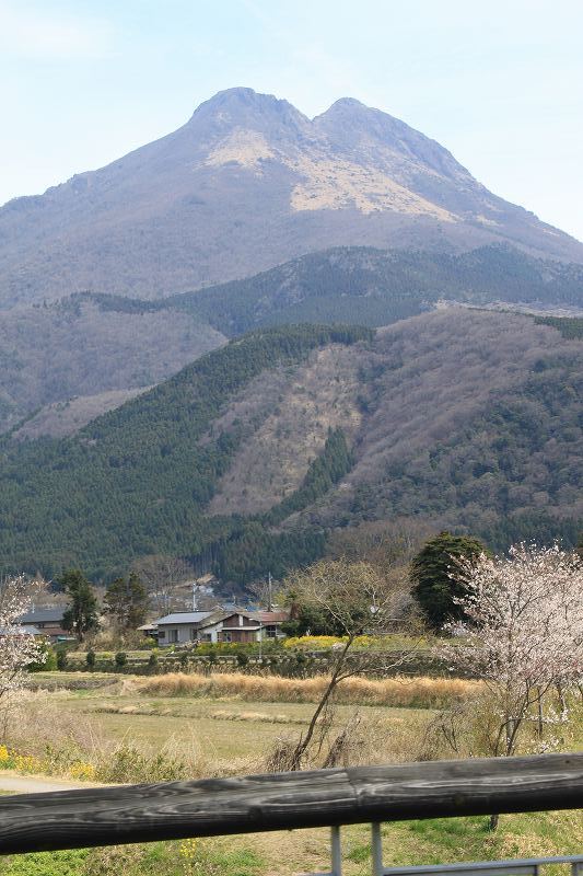 由布岳 | マルカ日記 | マルカ木工