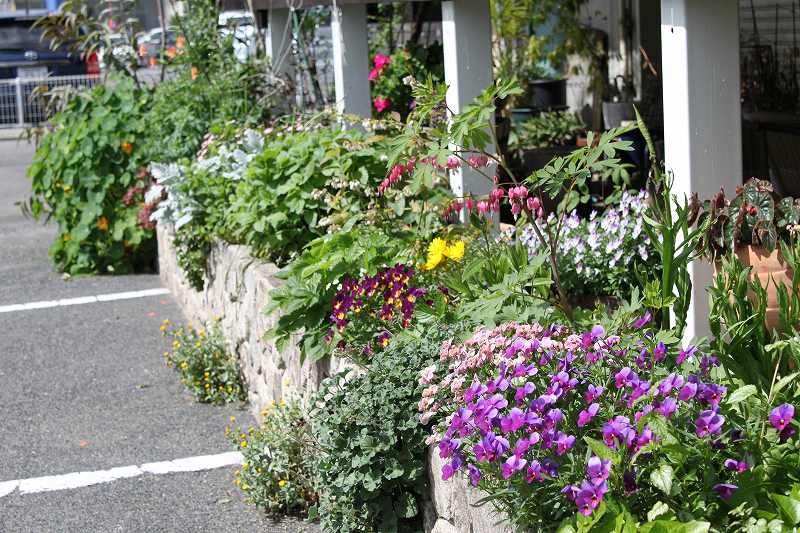 花盛り | マルカ日記 | マルカ木工