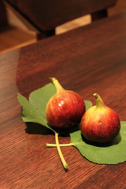 静岡からの頂きもの | マルカ日記 | マルカ木工