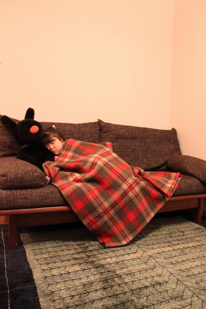 ギャッベの新しい世界展~春のゾランヴァリギャッベ新作展~ | マルカ木工